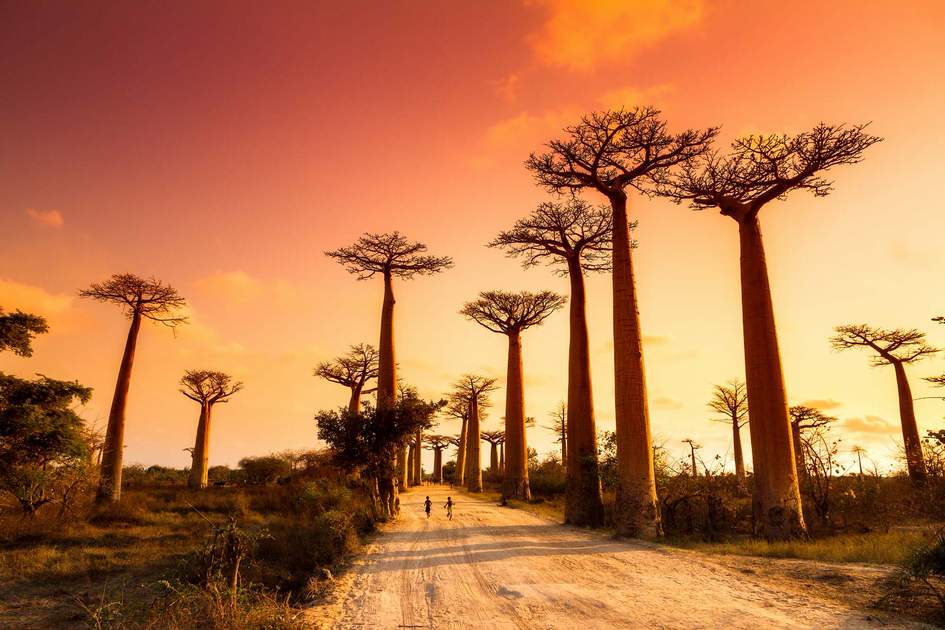 Paysage de Madagascar 1